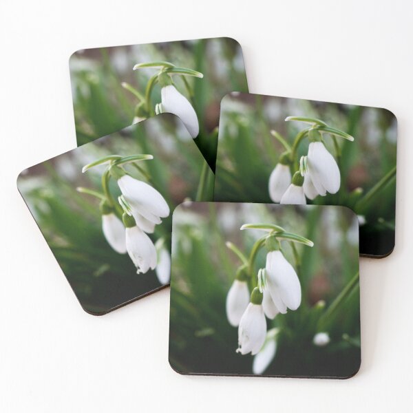 Item preview, Snowdrop designed and sold by Araveen-Photo.