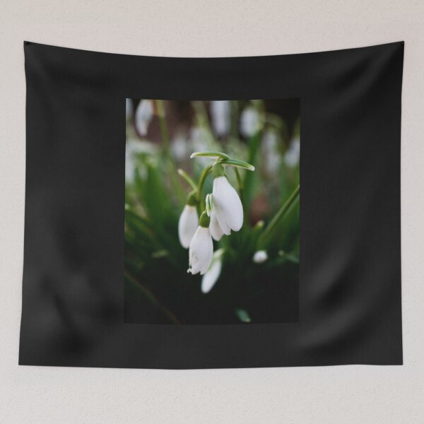Item preview, Snowdrop designed and sold by Araveen-Photo.