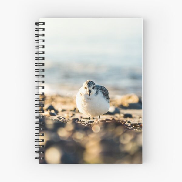 Item preview, Small seabird on the beach with the sea in the background on a sunny day designed and sold by Jens Breuer.