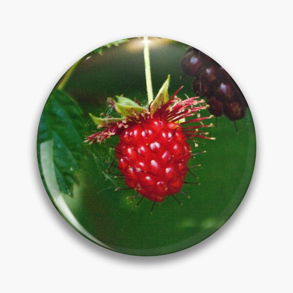 Item preview, The sheen of the blackberries designed and sold by Gabriele Maurus.