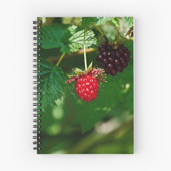 Item preview, The sheen of the blackberries designed and sold by Gabriele Maurus.