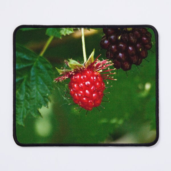 Item preview, The sheen of the blackberries designed and sold by Gabriele Maurus.