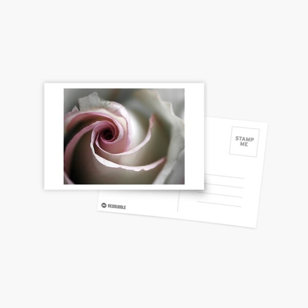 Swirl Postcard
