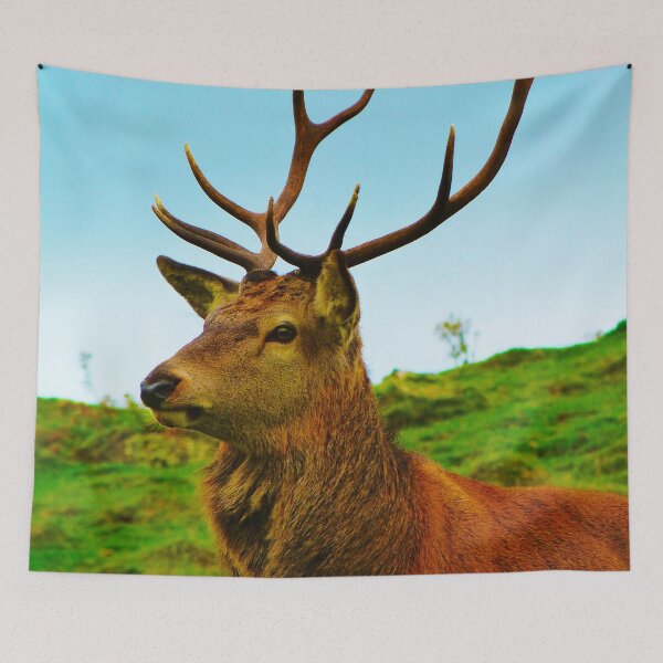 Item preview, Stag on the hill designed and sold by Leeanne Mackay.
