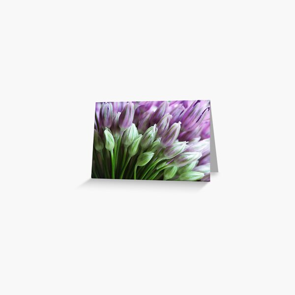 Standing Together Greeting Card