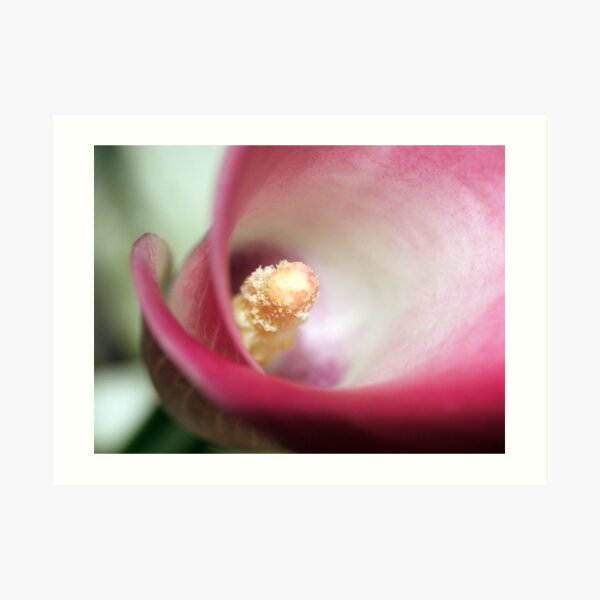 Tunnel of Love Art Print