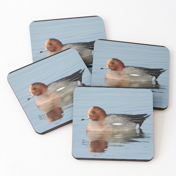 Item preview, A Wonderful Male Widgeon Duck designed and sold by Karen Thomson.