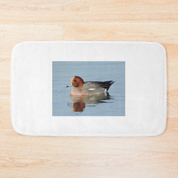 Item preview, A Wonderful Male Widgeon Duck designed and sold by Karen Thomson.