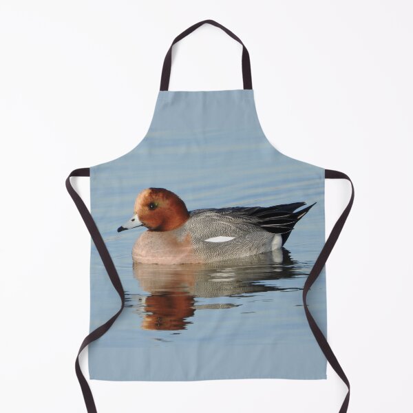 Item preview, A Wonderful Male Widgeon Duck designed and sold by Karen Thomson.