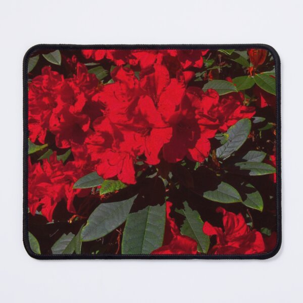 Item preview, Red Rhodies  designed and sold by Pattermoon.