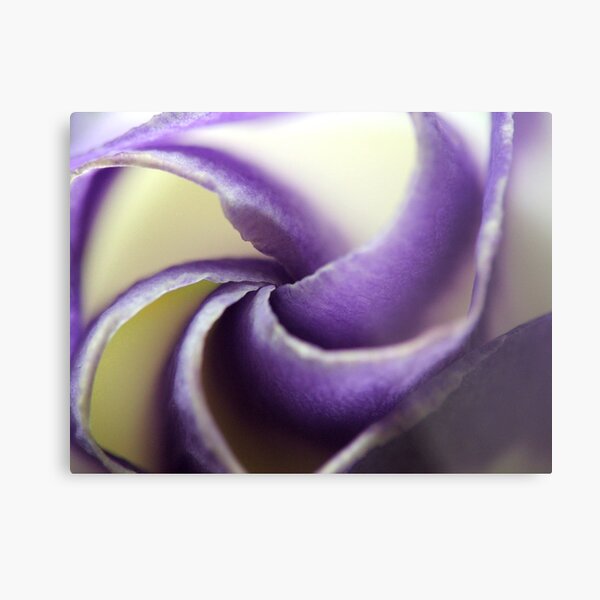 Furled Metal Print