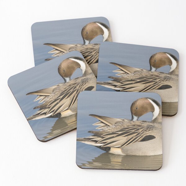 Item preview, Pintail designed and sold by LaurenTucker.