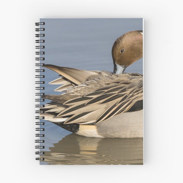 Item preview, Pintail designed and sold by LaurenTucker.