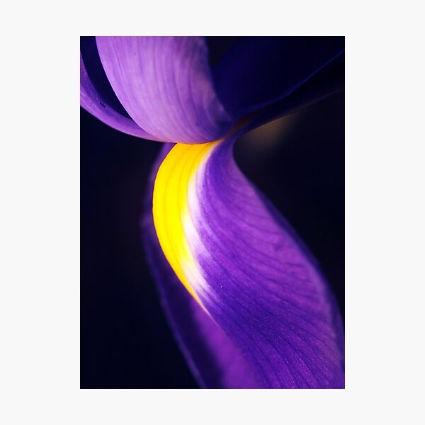 The Kiss Photographic Print