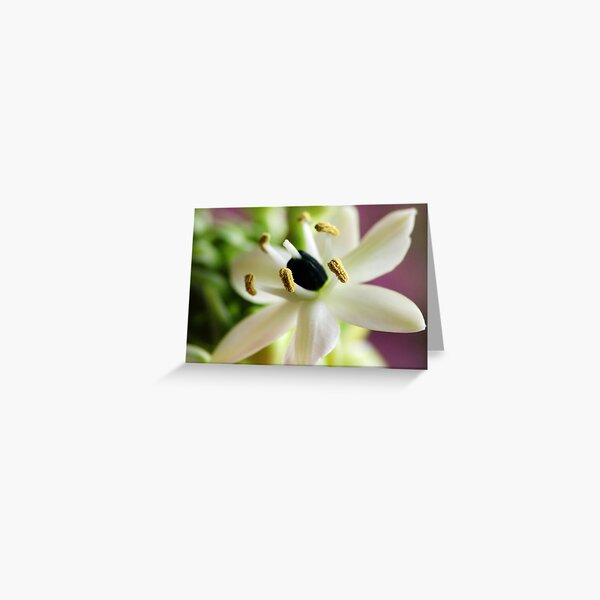 The Meeting Place Greeting Card