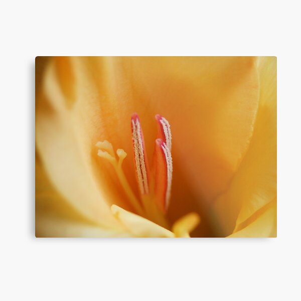 Gossip Metal Print