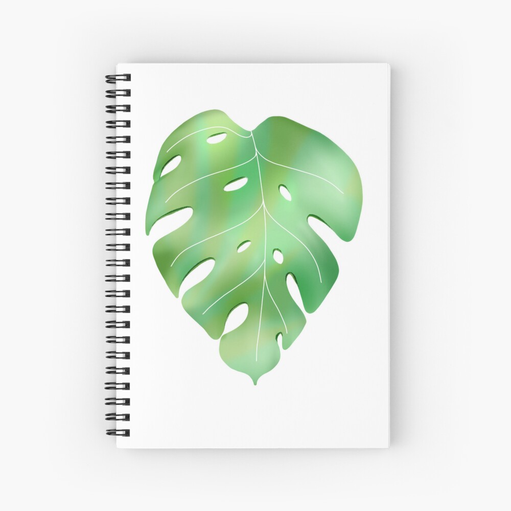 Buy Monstera Plant Ink Drawing Print Online in India - Etsy