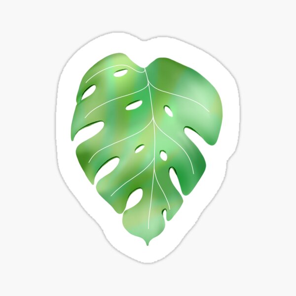 Holographic Monstera Sticker for Water Bottle, Monstera Bumper