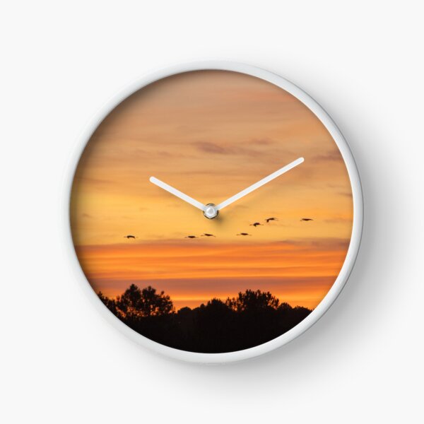 common cranes Clock