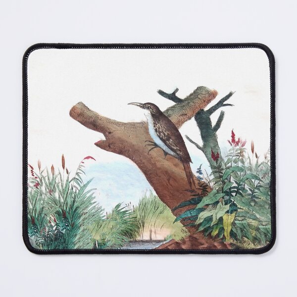 Item preview, Antique French Bird Engraving designed and sold by louisxvpod.