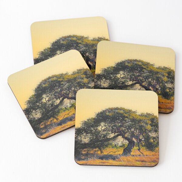 Item preview, Lonely tree at sunrise designed and sold by ImgPrint.