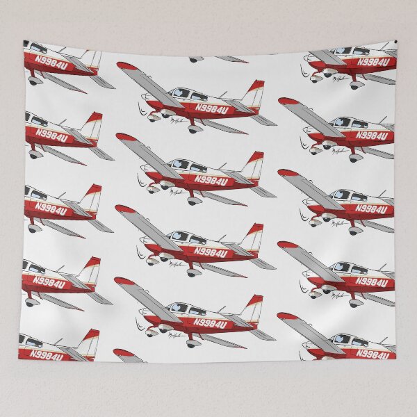 Item preview, Grumman Tiger N9984U designed and sold by Michael Garber.