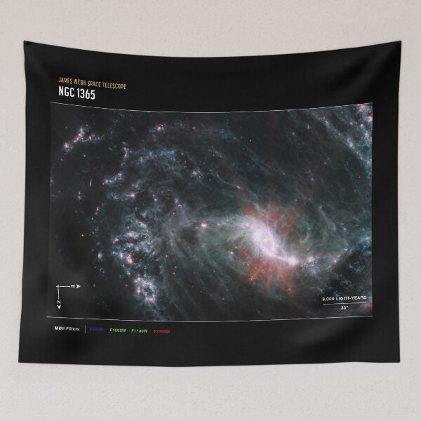 Item preview, James Webb Space Telescope NGC 1365 Detailed (James Webb/JWST) designed and sold by PaintLabs.