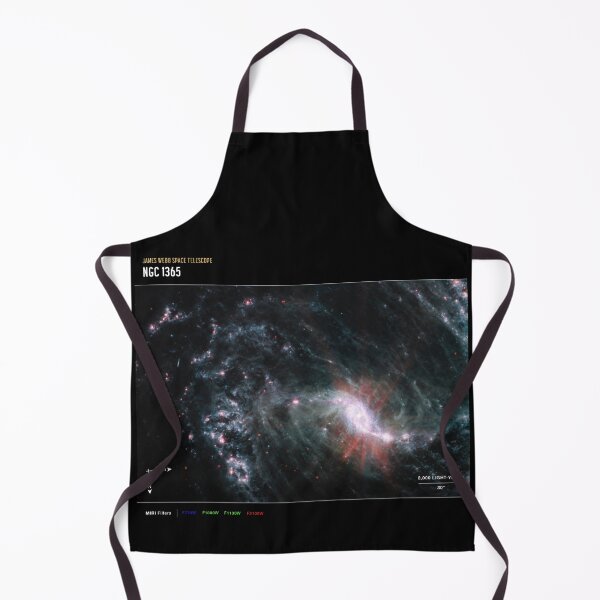 Artikelvorschau, James Webb Weltraumteleskop NGC 1365 im Detail (James Webb/JWST) entworfen und verkauft von PaintLabs.