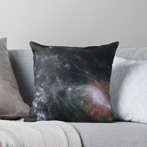 Artikelvorschau, James Webb Weltraumteleskop NGC 1365 (James Webb/JWST) entworfen und verkauft von PaintLabs.