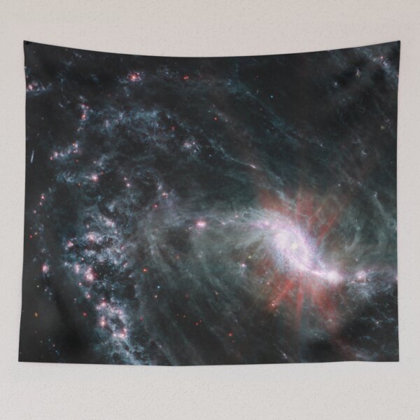 Item preview, James Webb Space Telescope NGC 1365 (James Webb/JWST) designed and sold by PaintLabs.
