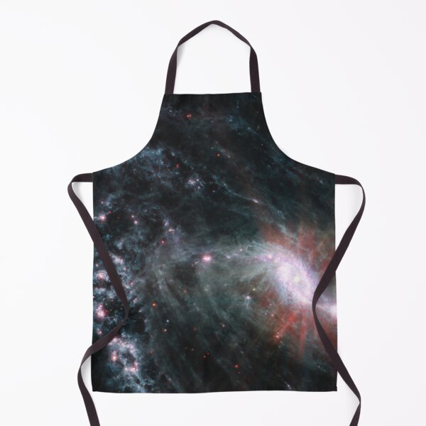 Artikelvorschau, James Webb Weltraumteleskop NGC 1365 (James Webb/JWST) entworfen und verkauft von PaintLabs.