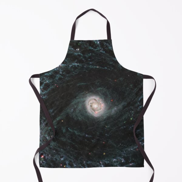 Artikelvorschau, James Webb Weltraumteleskop NGC 1433 (James Webb/JWST) entworfen und verkauft von PaintLabs.