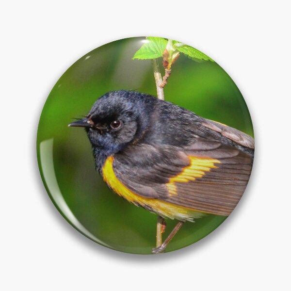 Item preview, American Redstart designed and sold by Nancy Barrett.