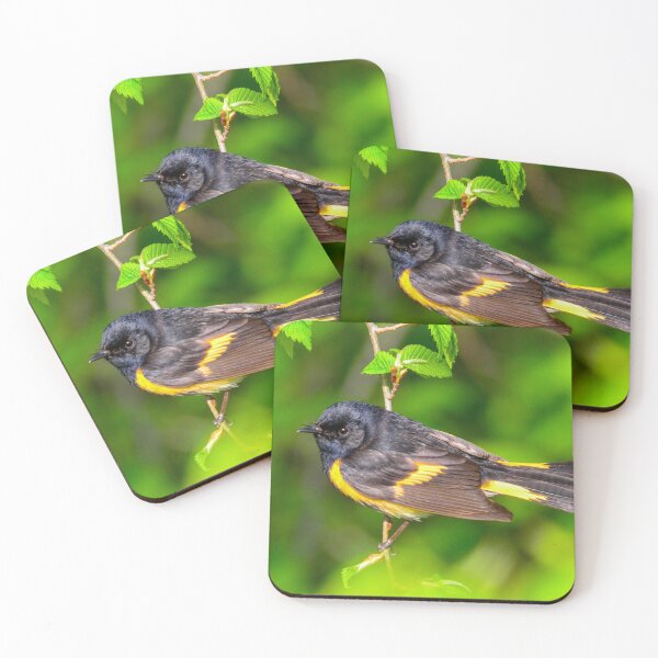 Item preview, American Redstart designed and sold by Nancy Barrett.