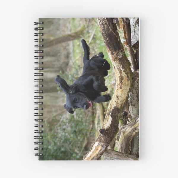 Item preview, Joyful Black Cocker Spaniel Dog Leaping over a Log designed and sold by ScienceSource.