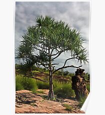 Outback Poster