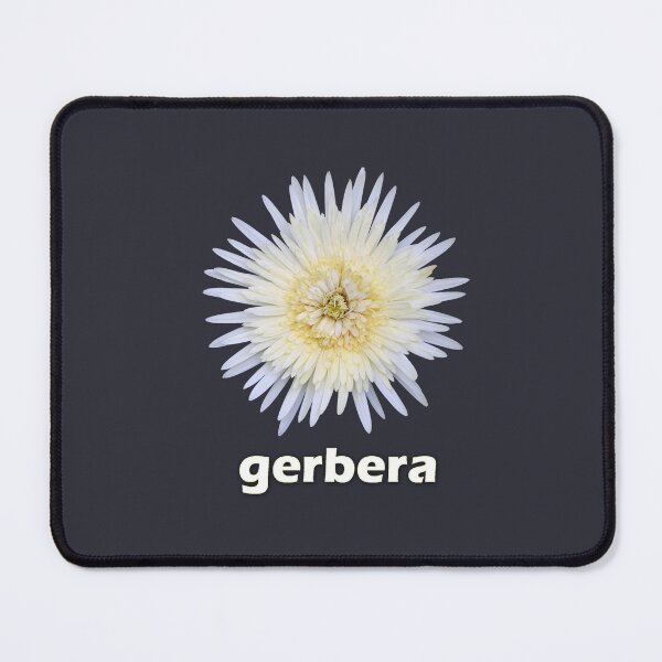 Item preview, White Gerbera on Black designed and sold by STHogan2.