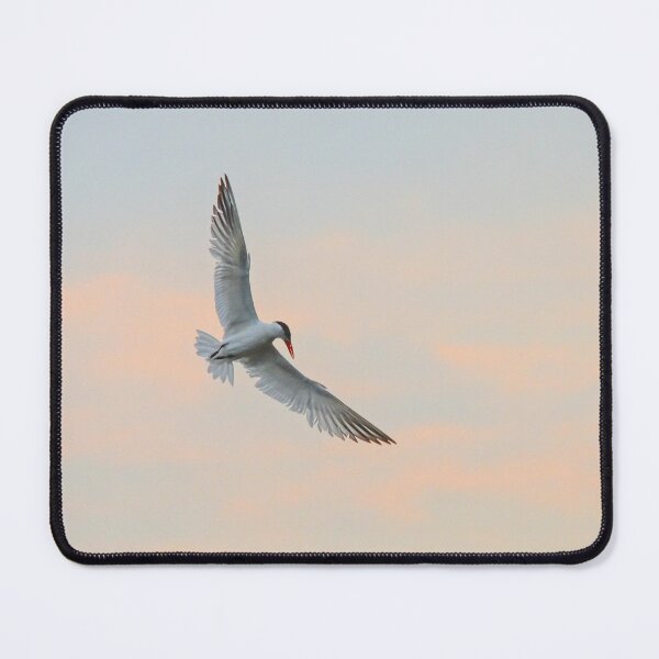 Item preview, Flying High designed and sold by Nancy Barrett.