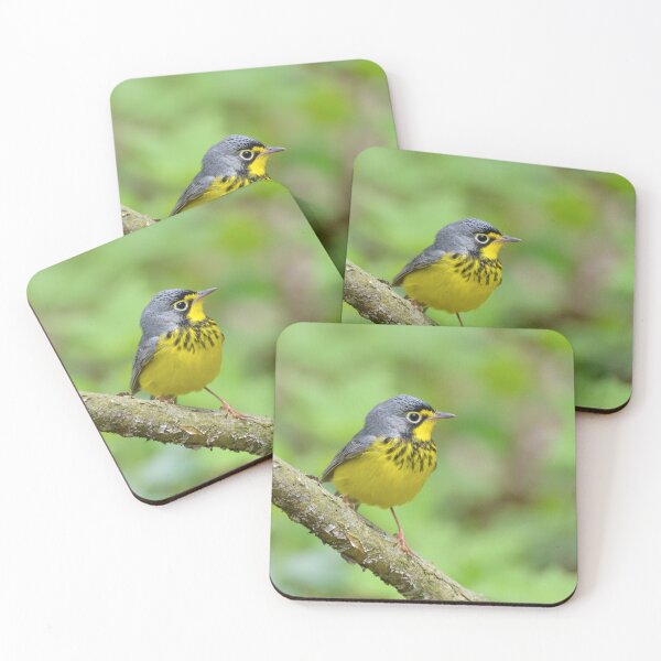 Item preview, Canada Warbler  designed and sold by Nancy Barrett.