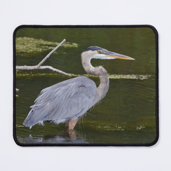 Item preview, Great Blue Heron designed and sold by Nancy Barrett.