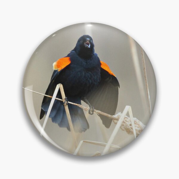Item preview, Spring is Here! designed and sold by Nancy Barrett.