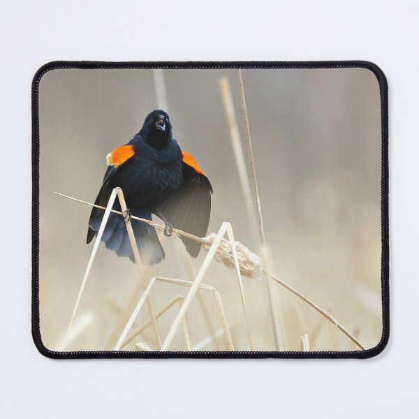 Item preview, Spring is Here! designed and sold by Nancy Barrett.