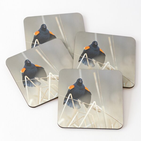 Item preview, Spring is Here! designed and sold by Nancy Barrett.