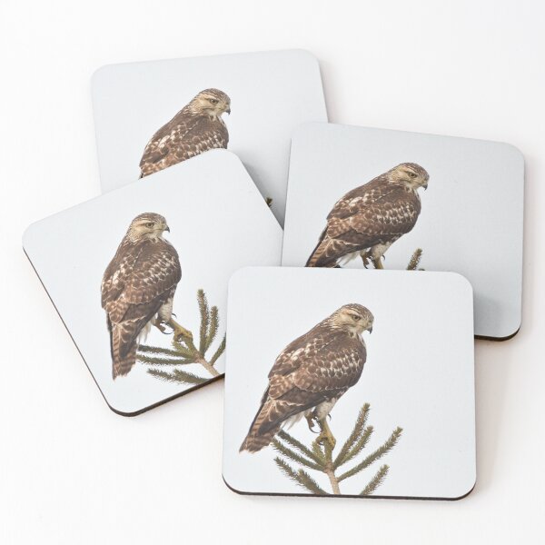 Item preview, Red-tailed Hawk designed and sold by Nancy Barrett.