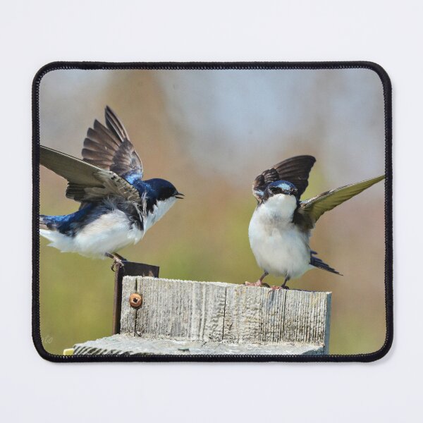 Item preview, Tree Swallow Pair designed and sold by Nancy Barrett.