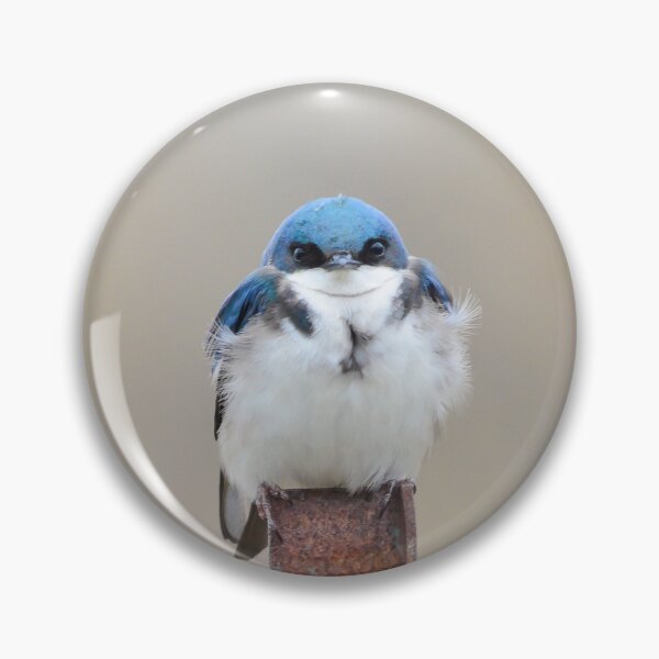 Item preview, Tree Swallow designed and sold by Nancy Barrett.