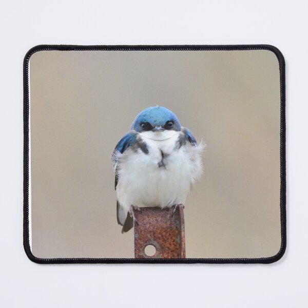 Item preview, Tree Swallow designed and sold by Nancy Barrett.