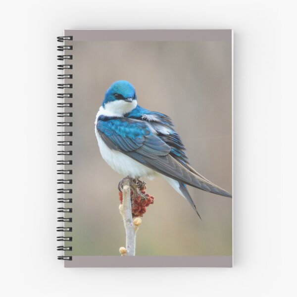 Item preview, Tree Swallow designed and sold by Nancy Barrett.