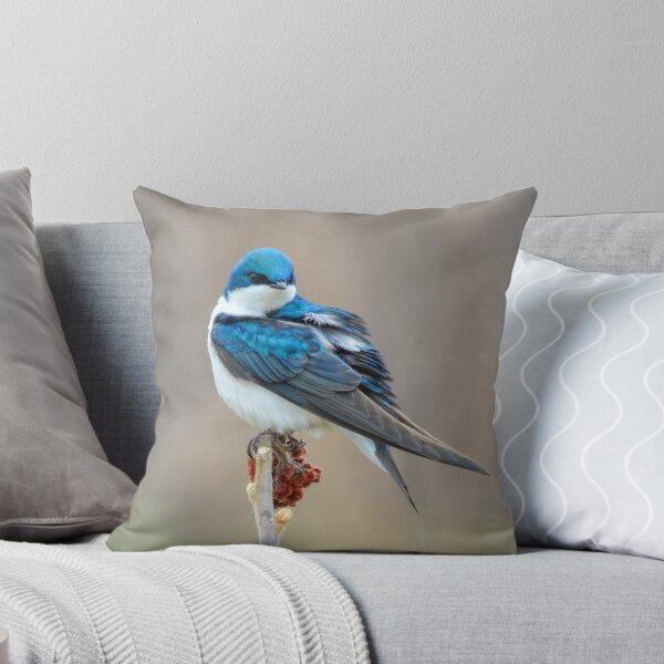 Item preview, Tree Swallow designed and sold by Nancy Barrett.