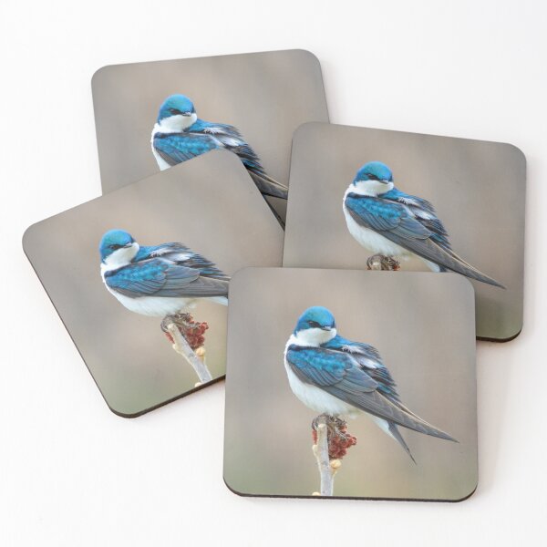 Item preview, Tree Swallow designed and sold by Nancy Barrett.